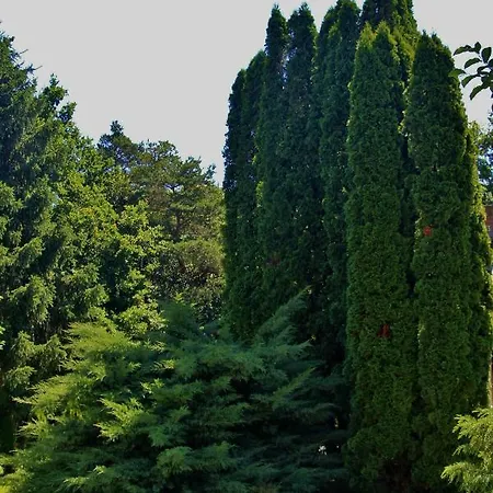 Széchenyi Vadászház 3* Őriszentpéter