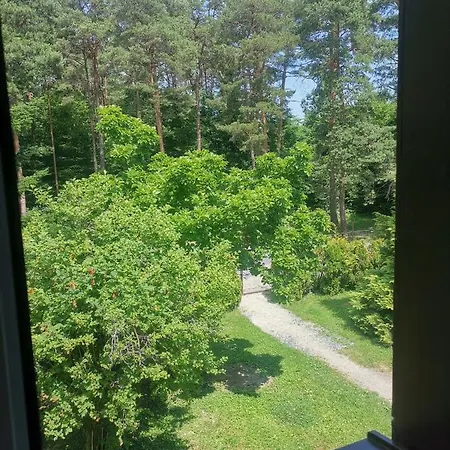 Széchenyi Vadászház Affittacamere 3*